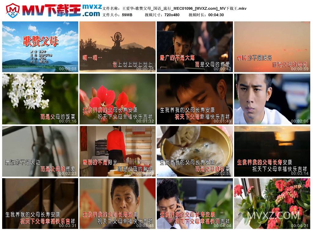 王爱华-歌赞父母_国语_流行_MEC01096